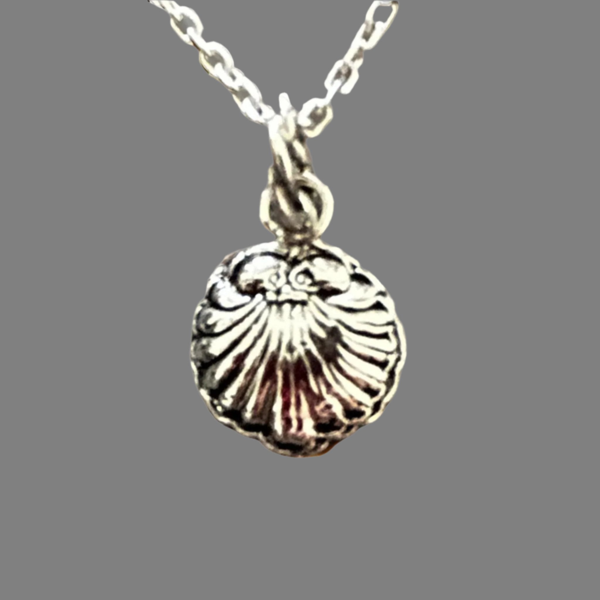 Silvershellnecklace